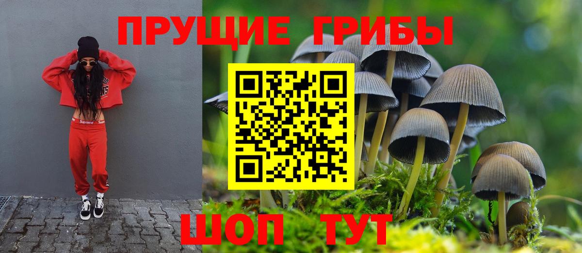 Мурманск  где продают   Вход с VPN  Галлюциногенные грибы прущие грибы  Псилоцибиновые грибы ЛСД 