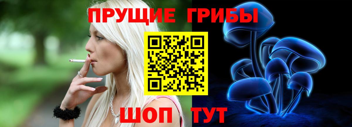 Галлюциногенные грибы мухоморы Мурманск